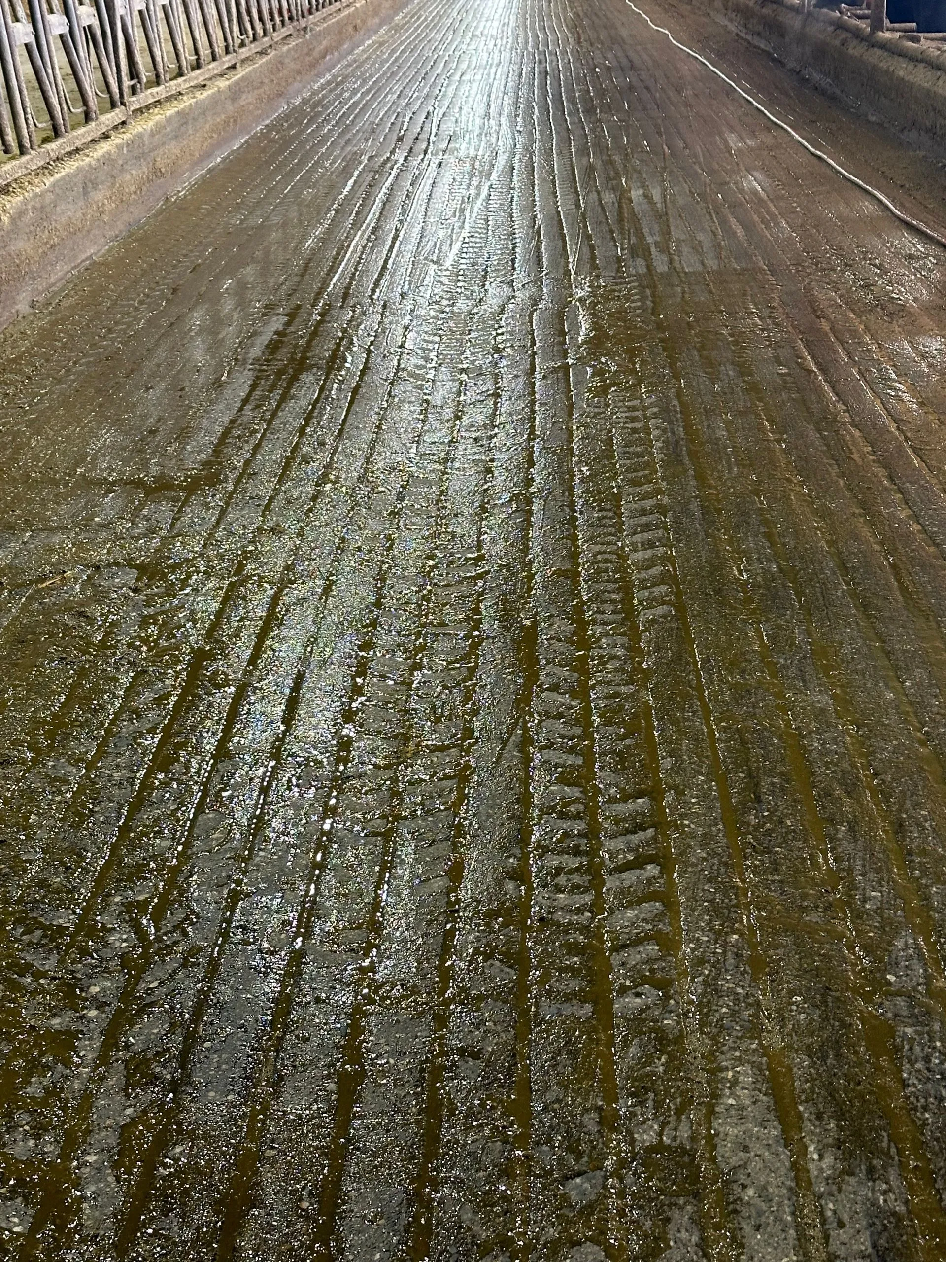 Barn floor after grooving
