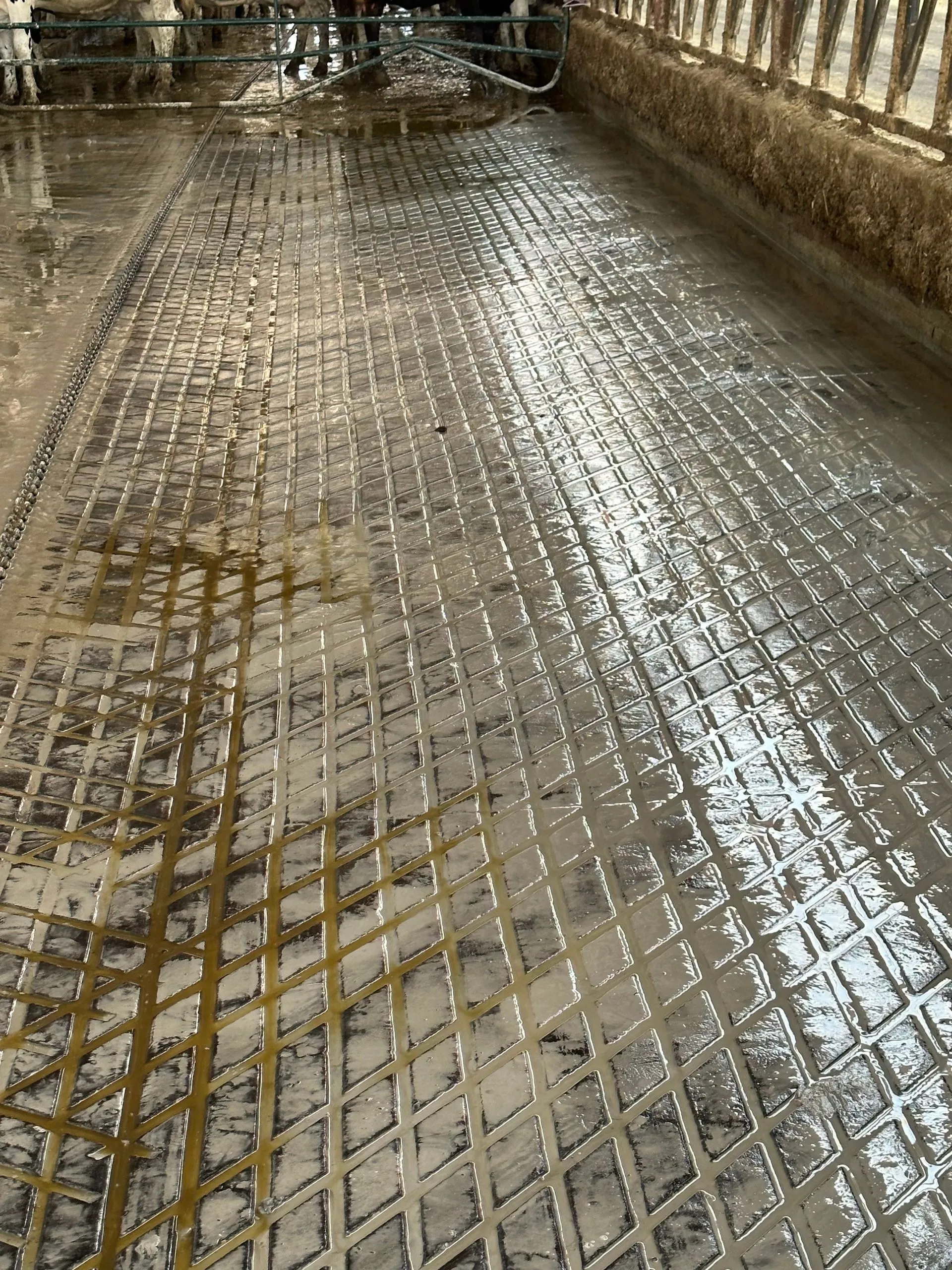 Dairy barn after concrete grooving