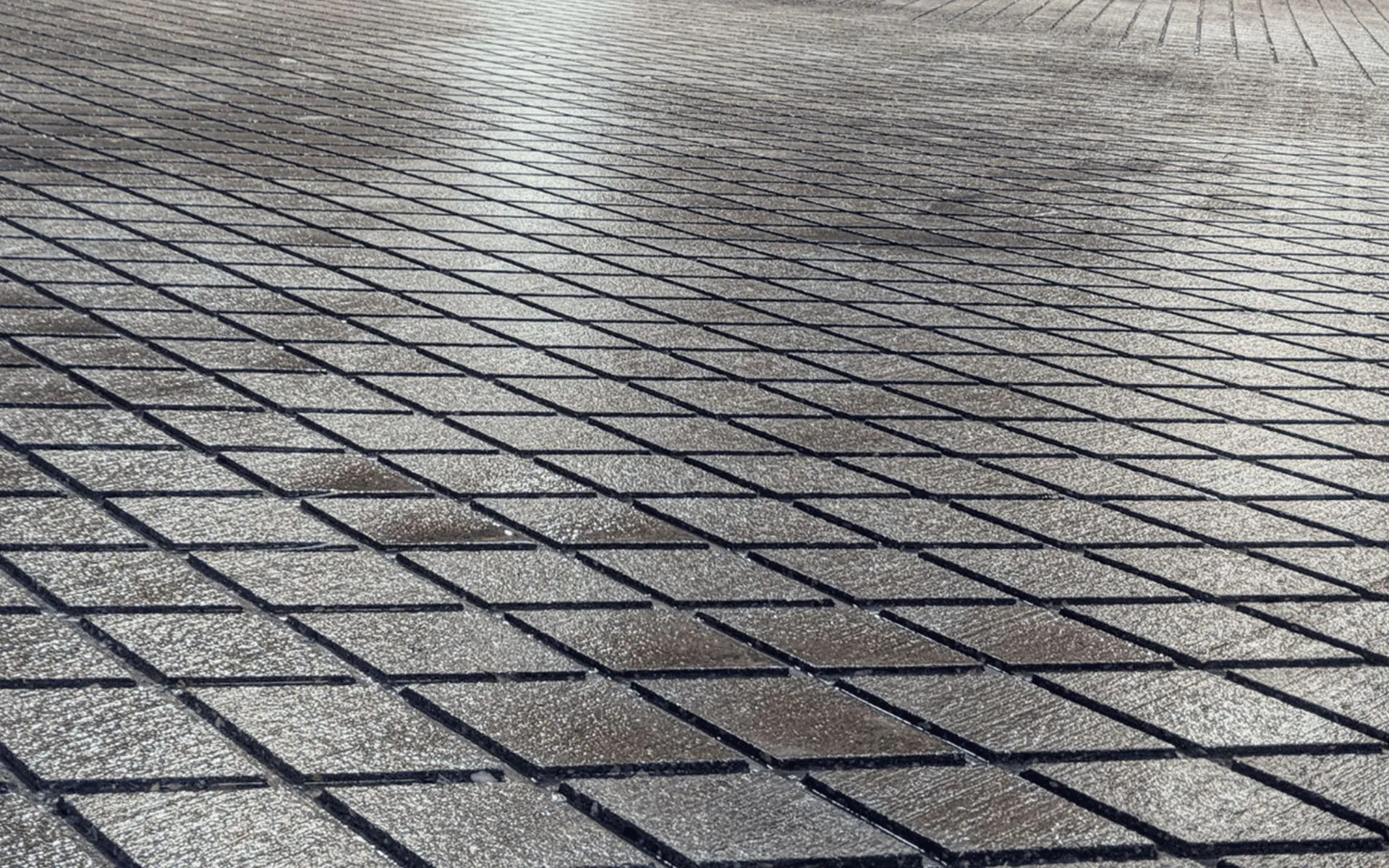 Cows walking safely on grooved concrete